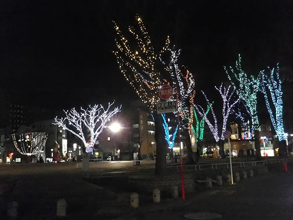 池田公園・夜