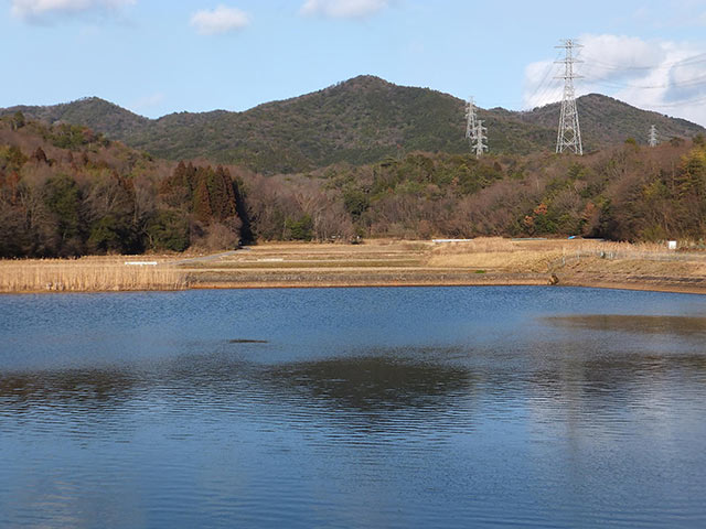 弥勒山